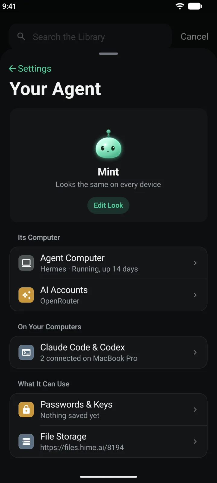 Your Agent settings, with Agent Computer and AI Accounts under Its Computer