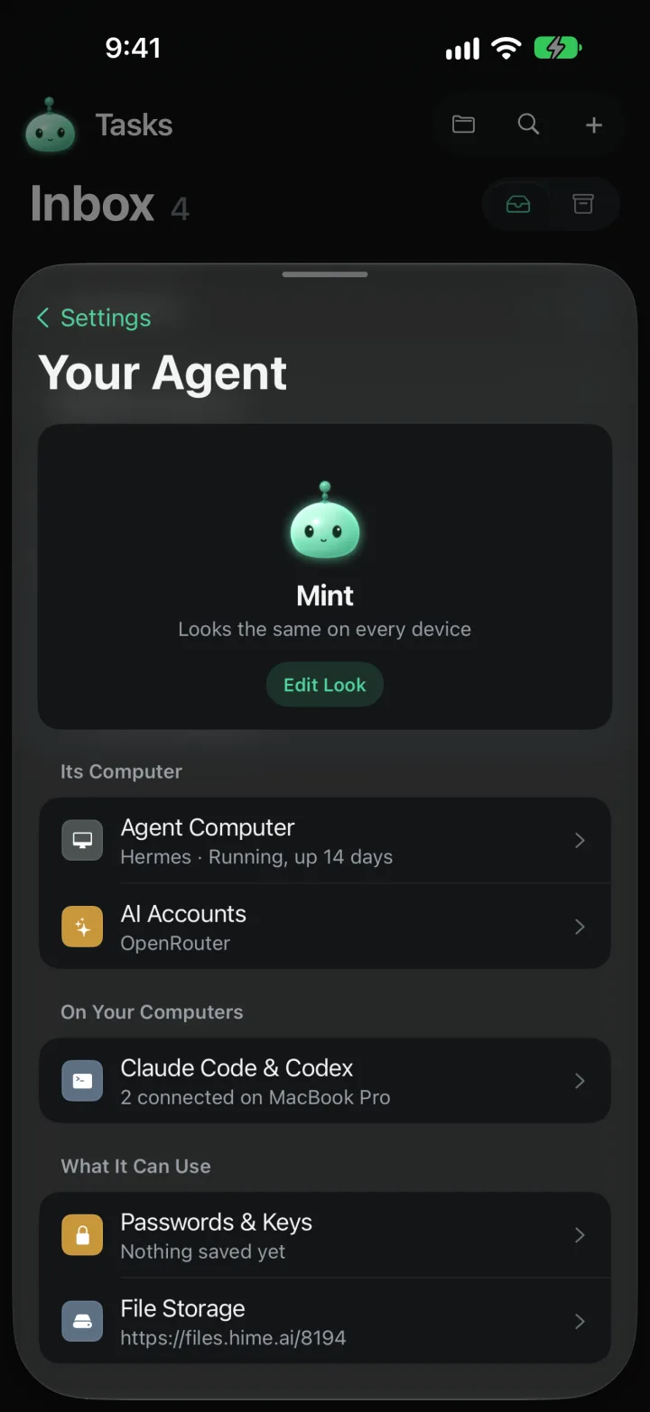 Your Agent settings, with Agent Computer and AI Accounts under Its Computer